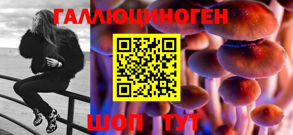 Псилоцибиновые грибы прущие грибы Новоуральск